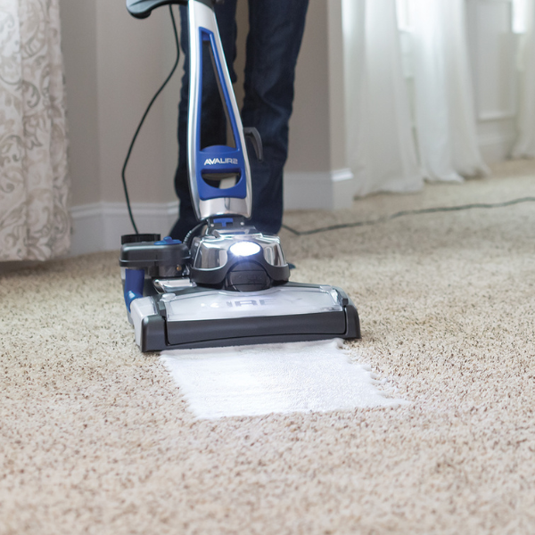 Kirby Carpet Shampoo For Taming Dog Messes Stain Cleaner